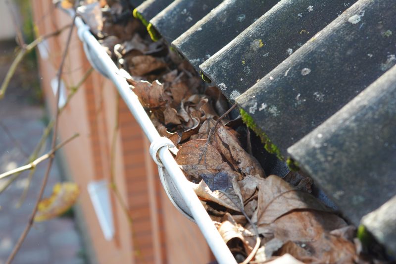 Close-up of Gutter Debris