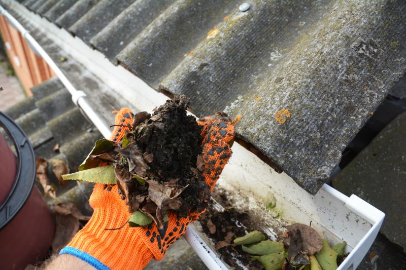 Clean Gutter System