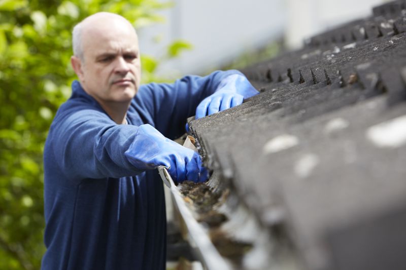 Gutter cleaning and maintenance