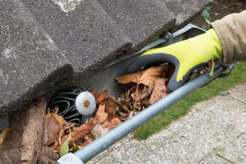 Gutter Service During Spring